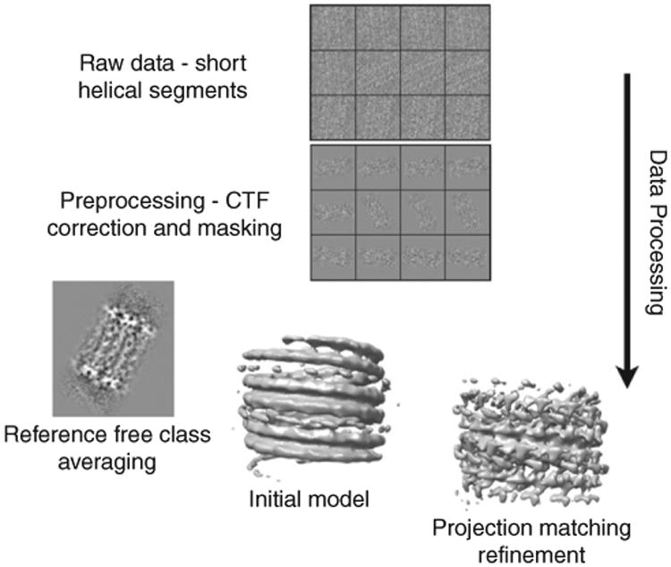 Fig. 8