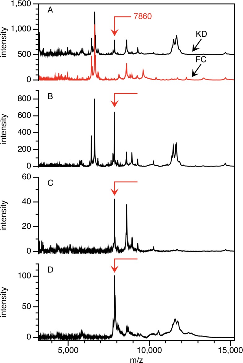 Fig 2