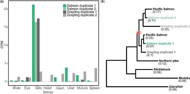 Fig. 5.