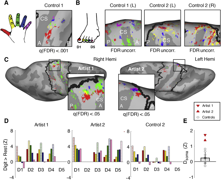 Figure 2