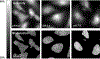 FIG. 2.