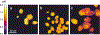 FIG. 4.