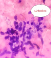 Fig. 3