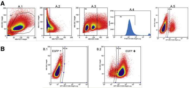 Figure 3