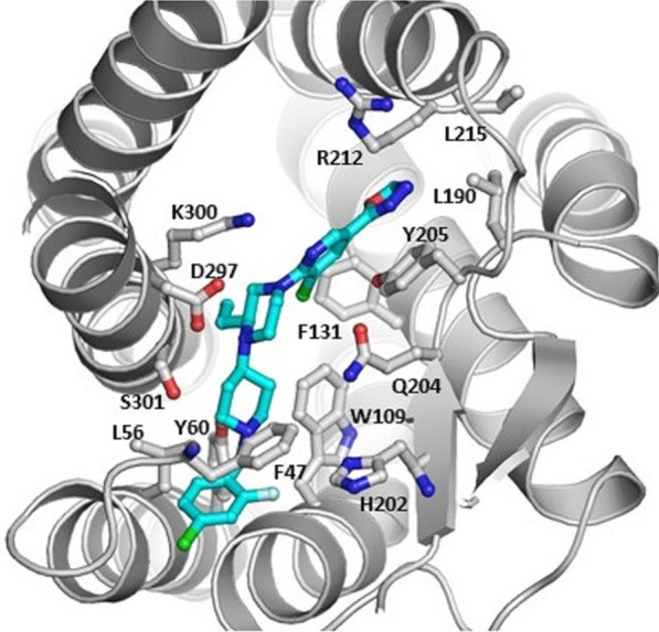 Fig. 1