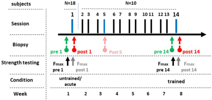 Fig. 7