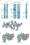 Figure 1—figure supplement 1.