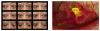 FIGURE 24