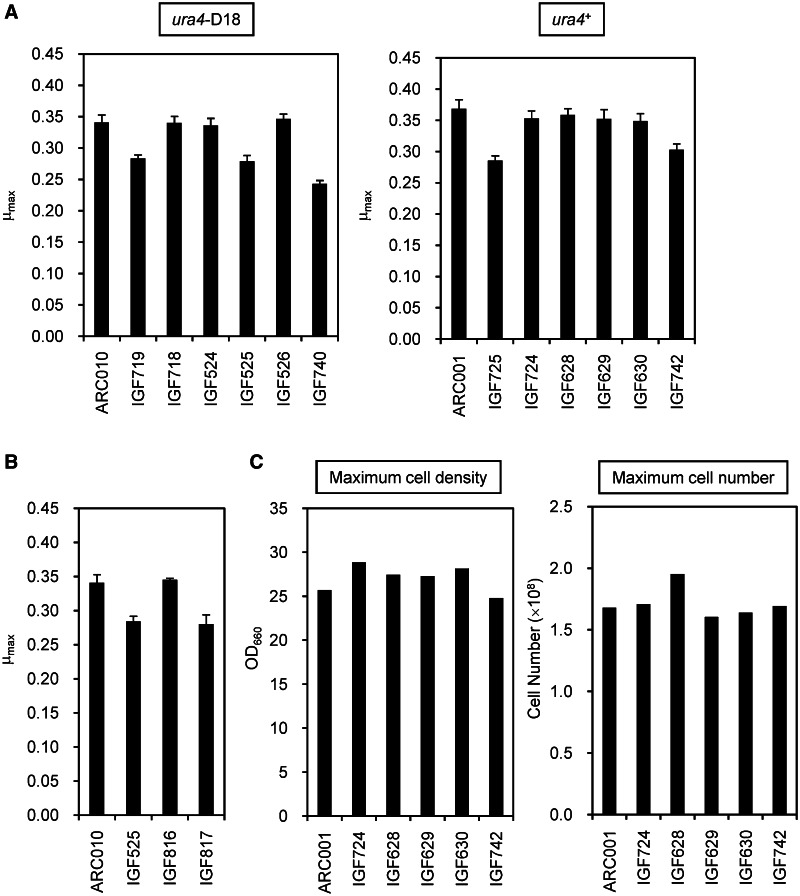 Figure 2.