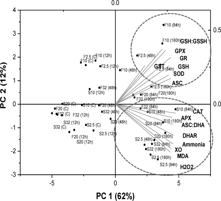 Fig 10