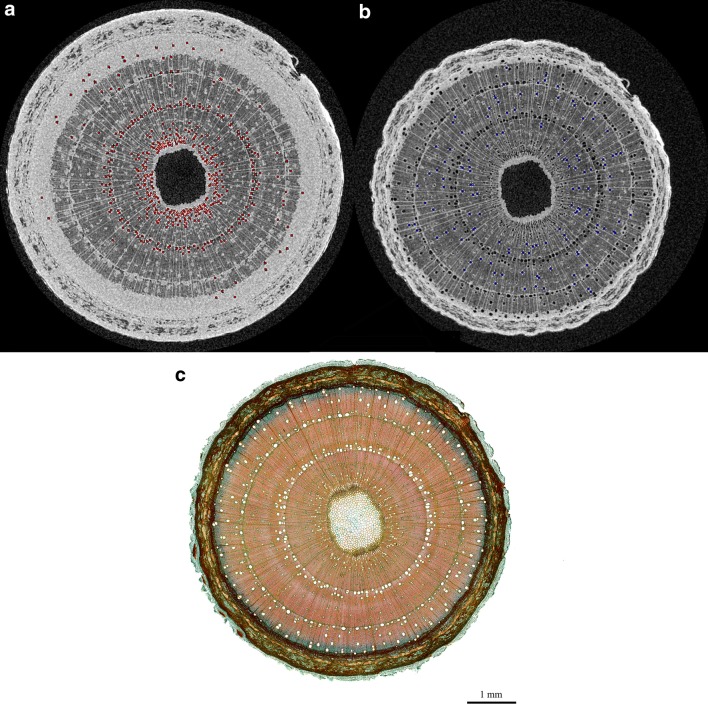 Fig. 11