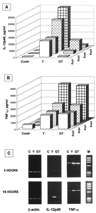 FIG. 1