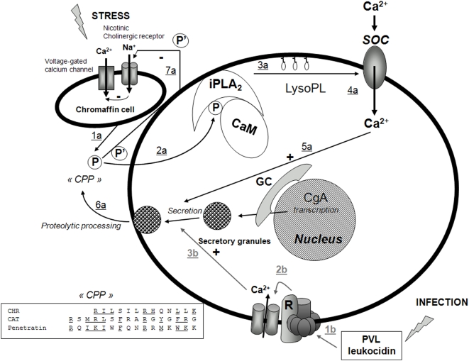 Figure 9