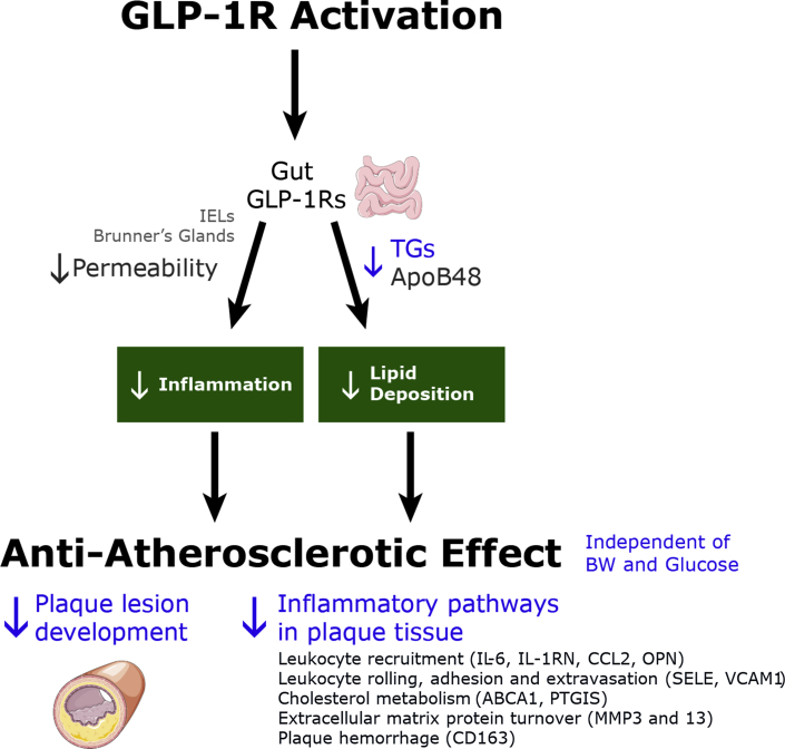 Figure 6