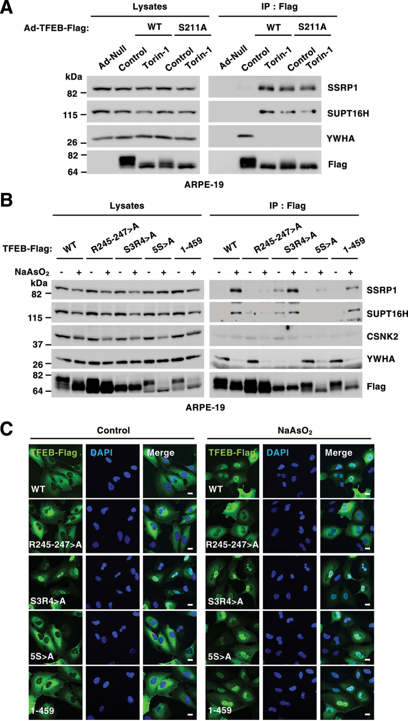 Figure 2.