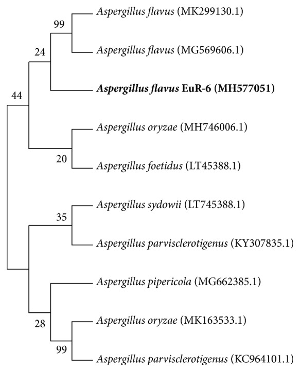 Figure 2