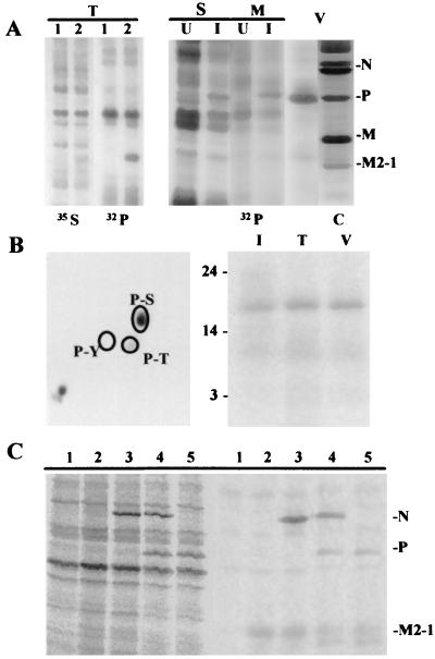 FIG. 5