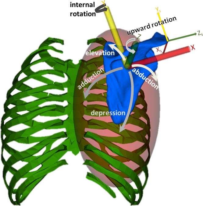 Fig 1