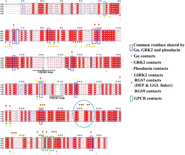 Figure 3—figure supplement 1.