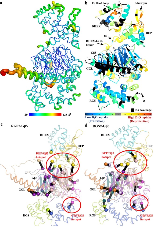 Figure 5.