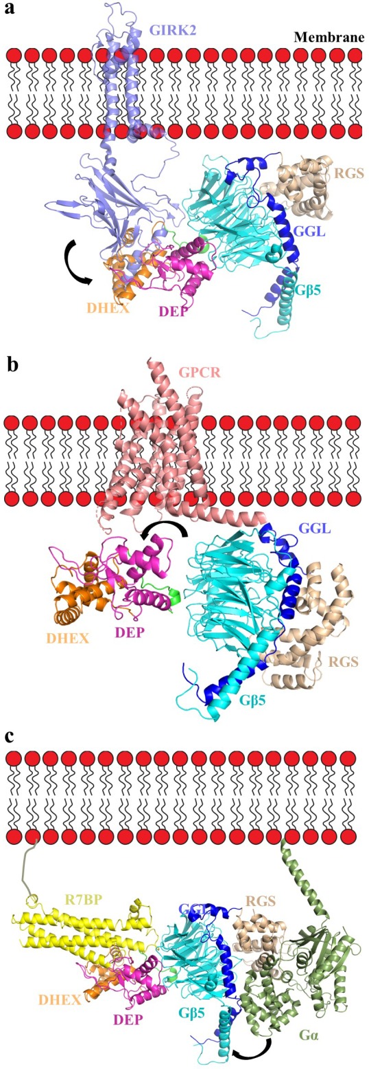 Figure 7.