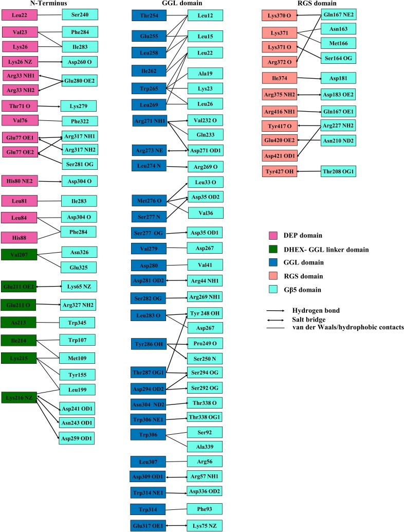 Figure 1—figure supplement 1.