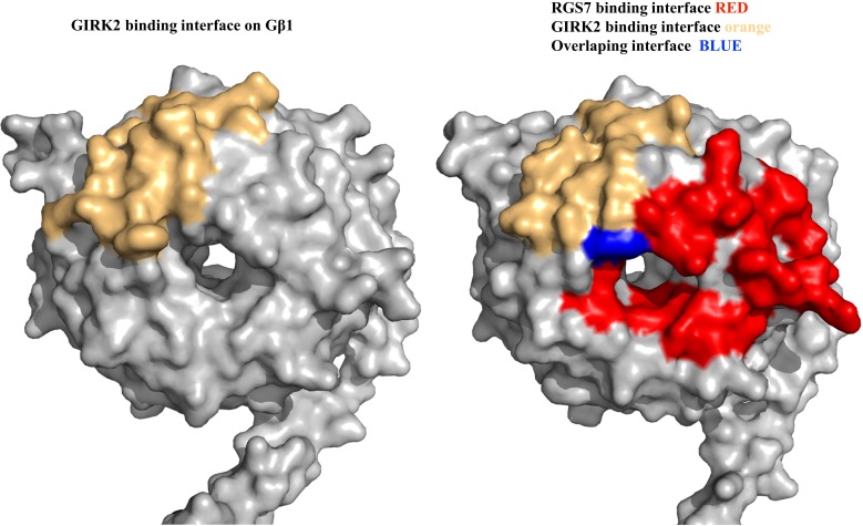 Figure 3—figure supplement 3.