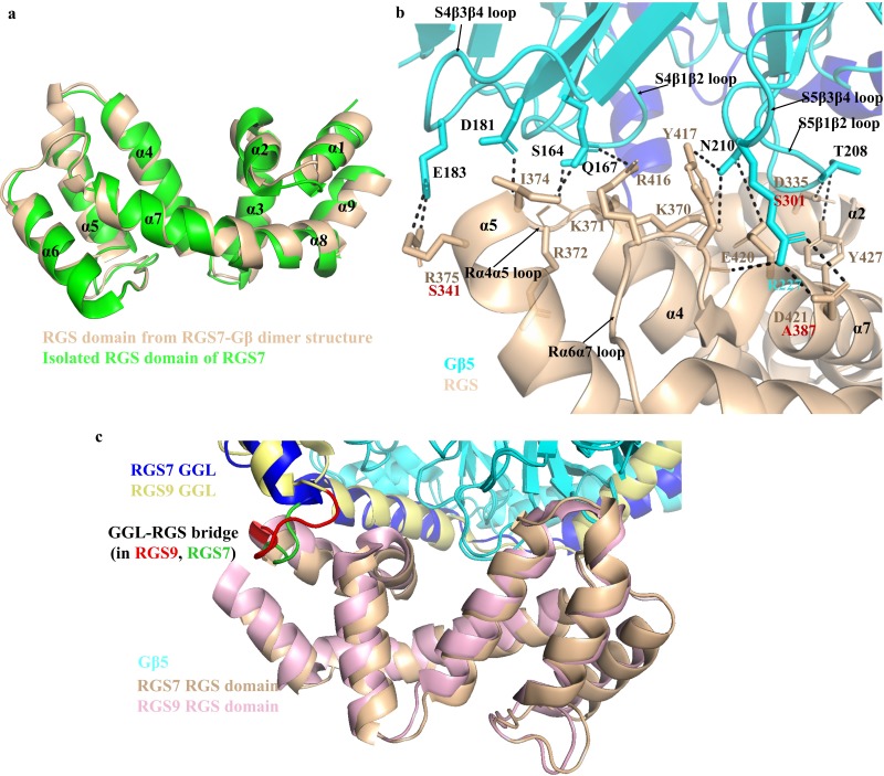 Figure 4—figure supplement 2.