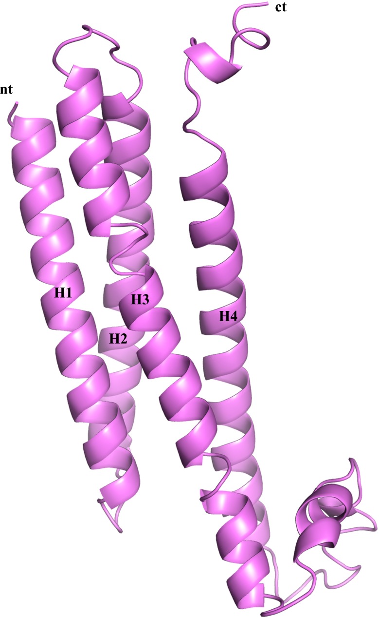 Figure 7—figure supplement 2.