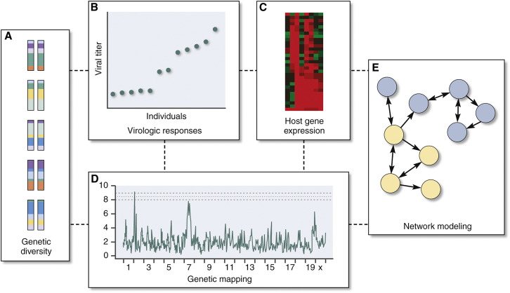 Figure 2