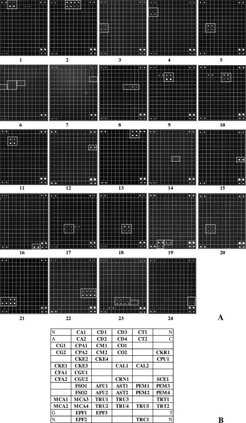 FIG. 1.