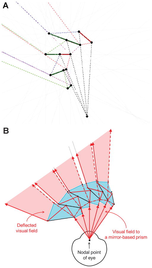 FIGURE 12