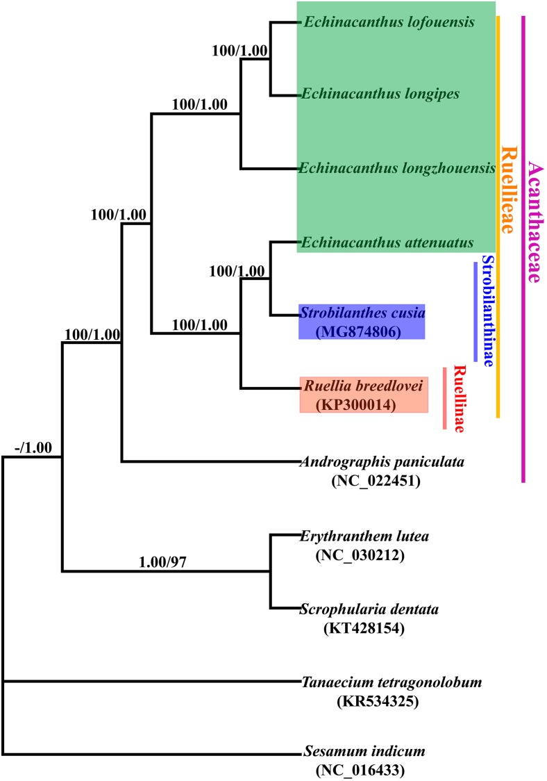 FIGURE 6