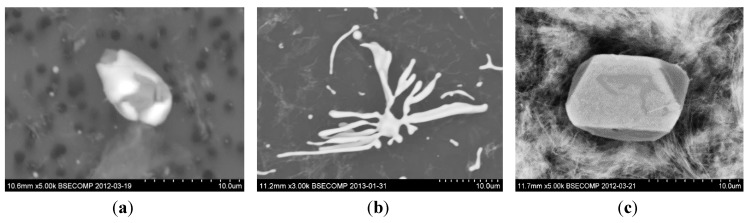 Figure 13