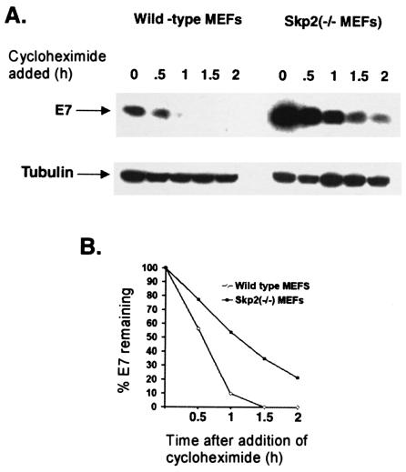 FIG. 7.