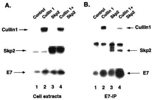 FIG. 5.