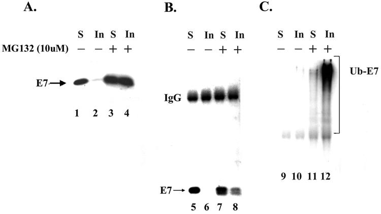 FIG. 8.