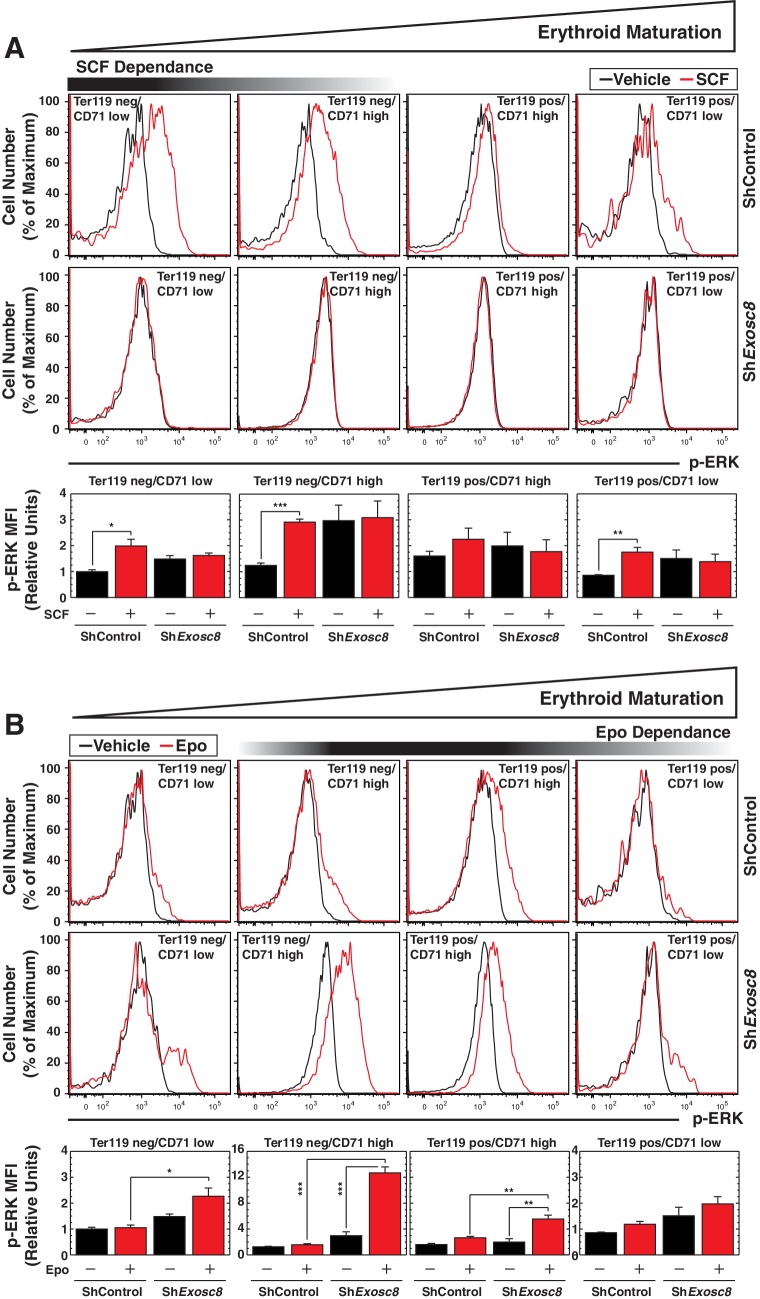 Figure 4—figure supplement 1.