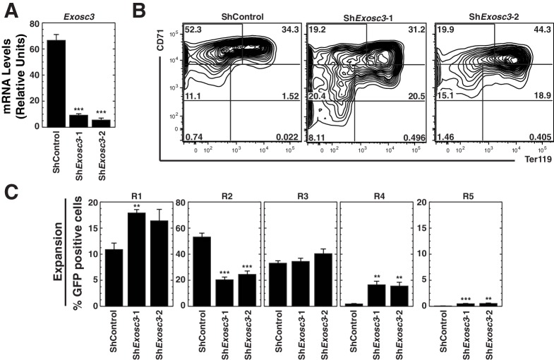 Figure 1—figure supplement 1.