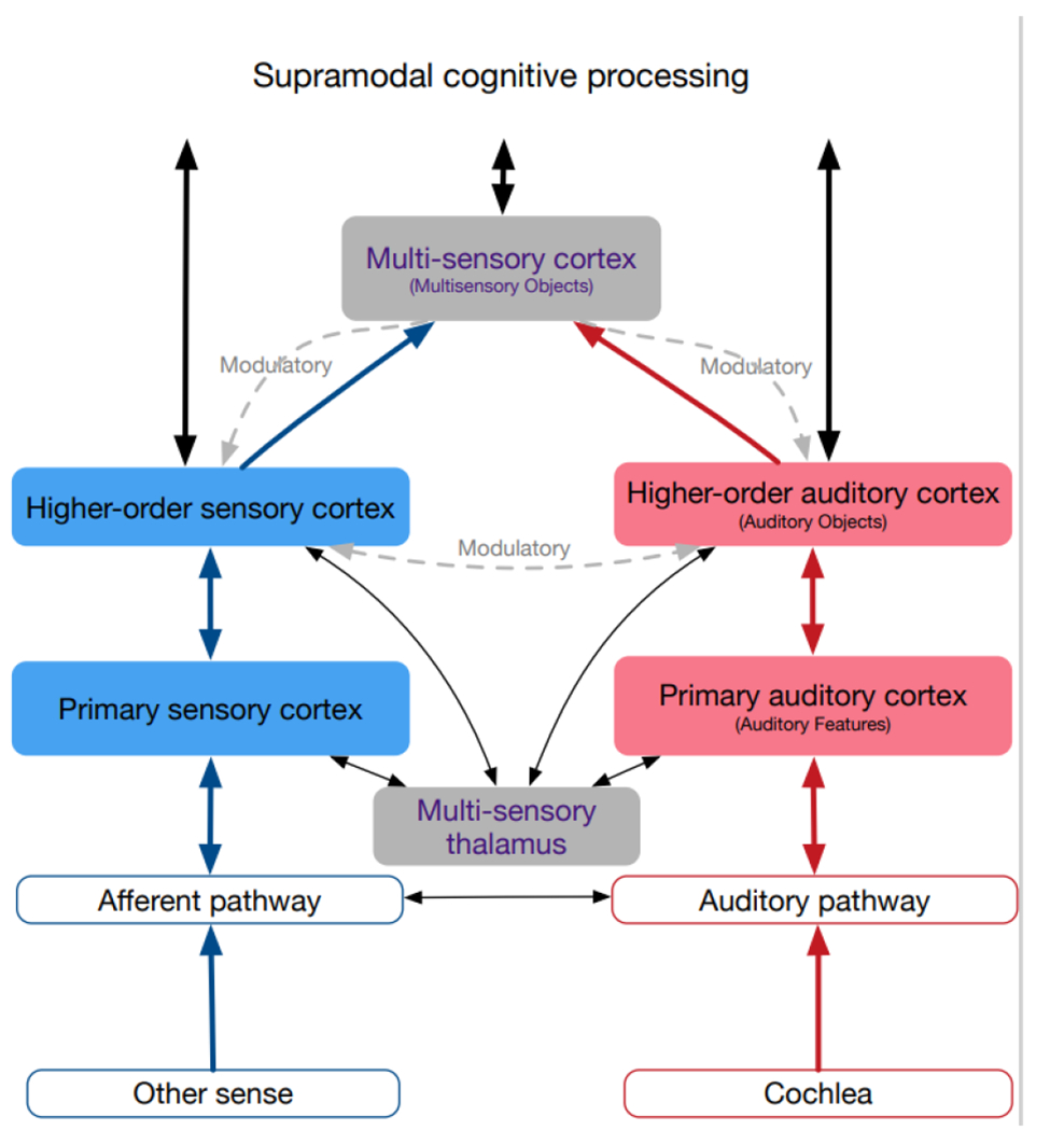 Fig. 2: