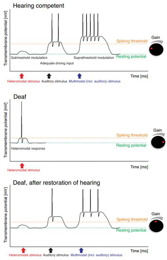 Fig. 4: