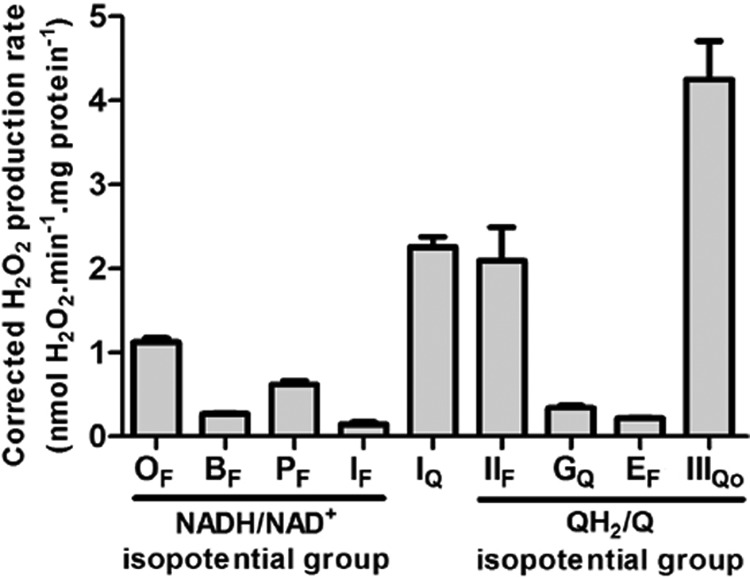 FIGURE 11.