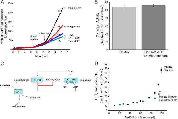 FIGURE 2.