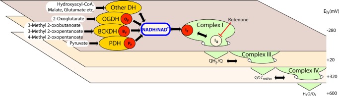 FIGURE 1.