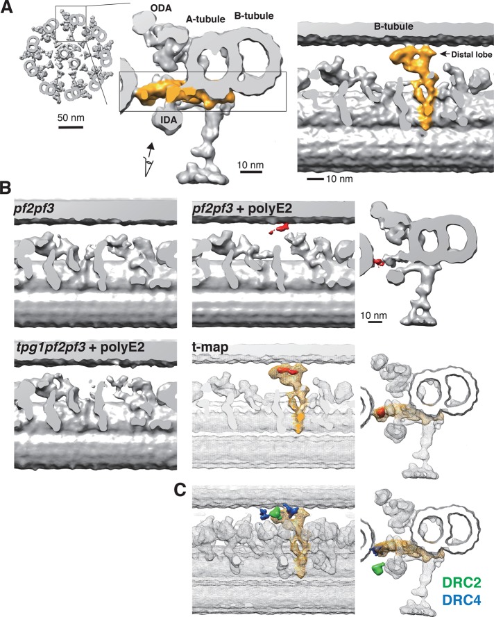 FIGURE 2: