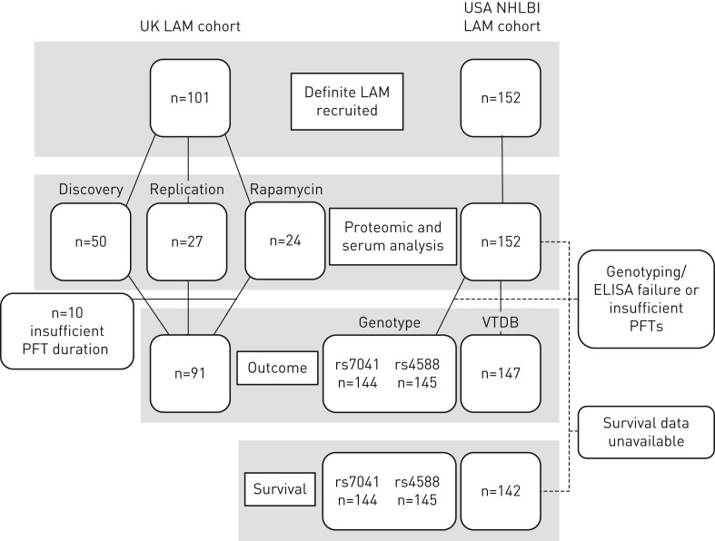 FIGURE 1