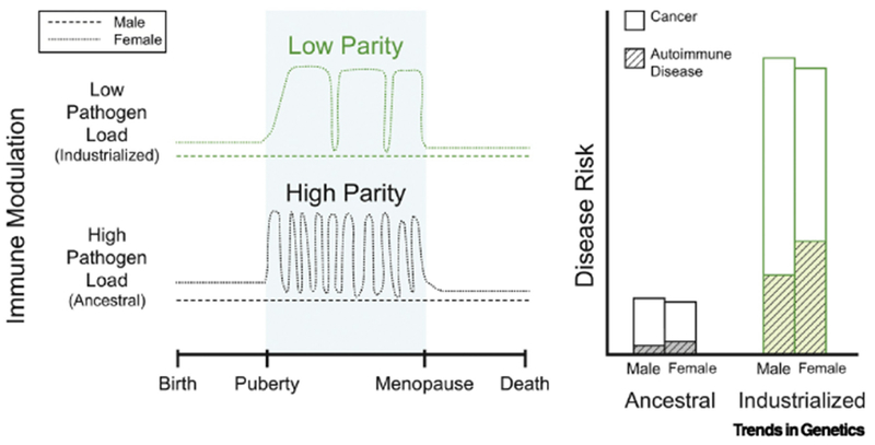 Figure 1. Key Figure.