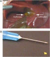 Fig. 1.