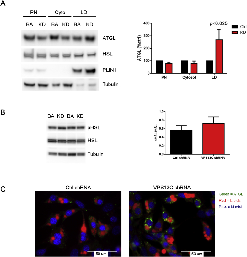 Figure 7