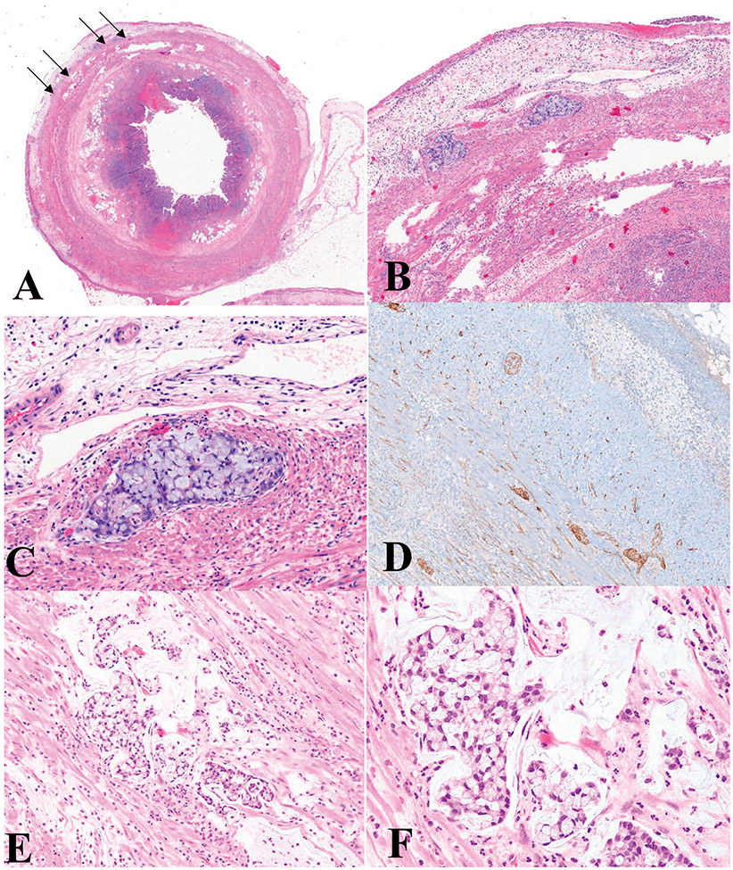 Figure 7.